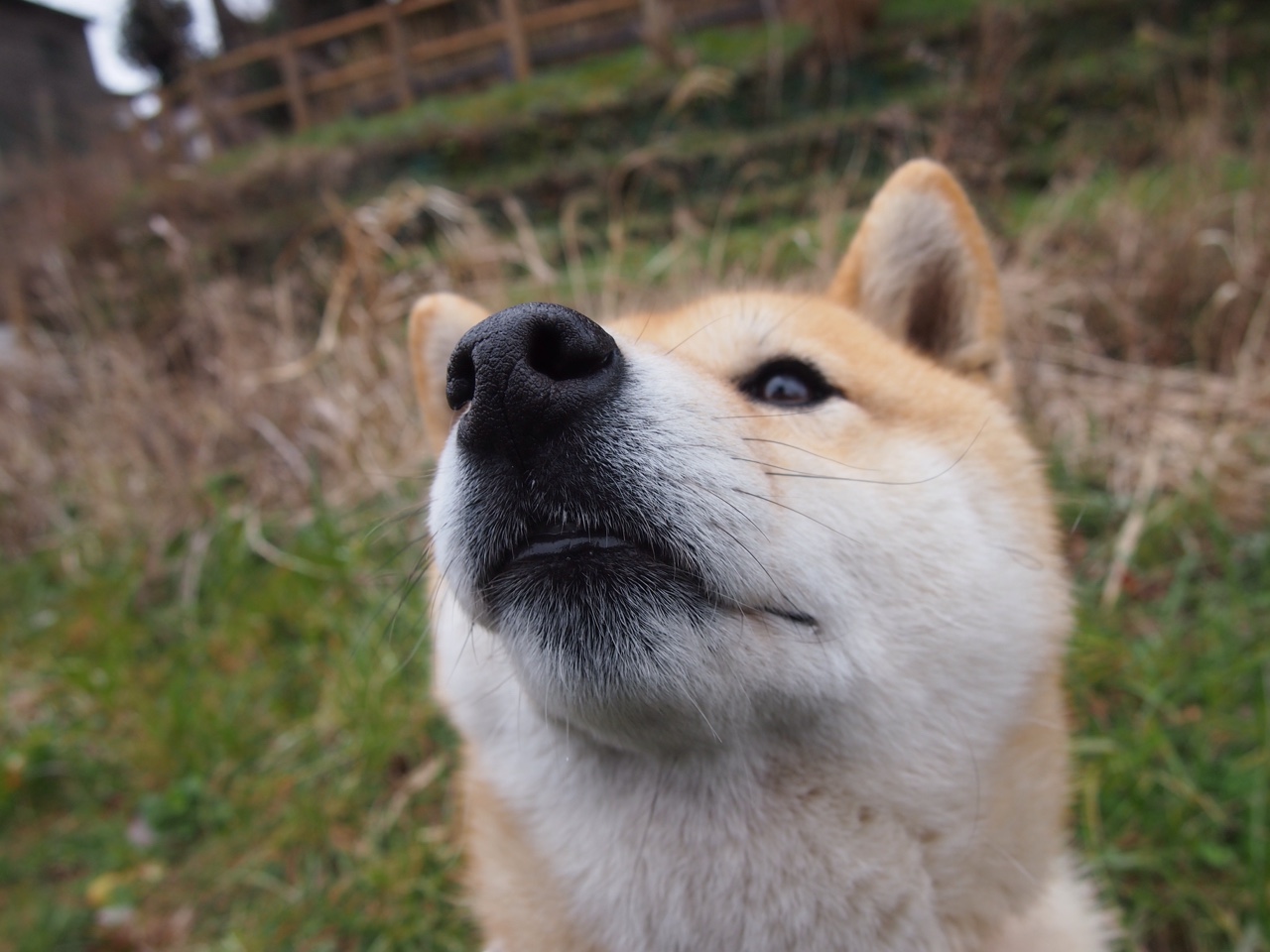 开云体育在线-德罗赞的老派艺术，当节奏成为武器，步行者在火箭的疾风中迷失