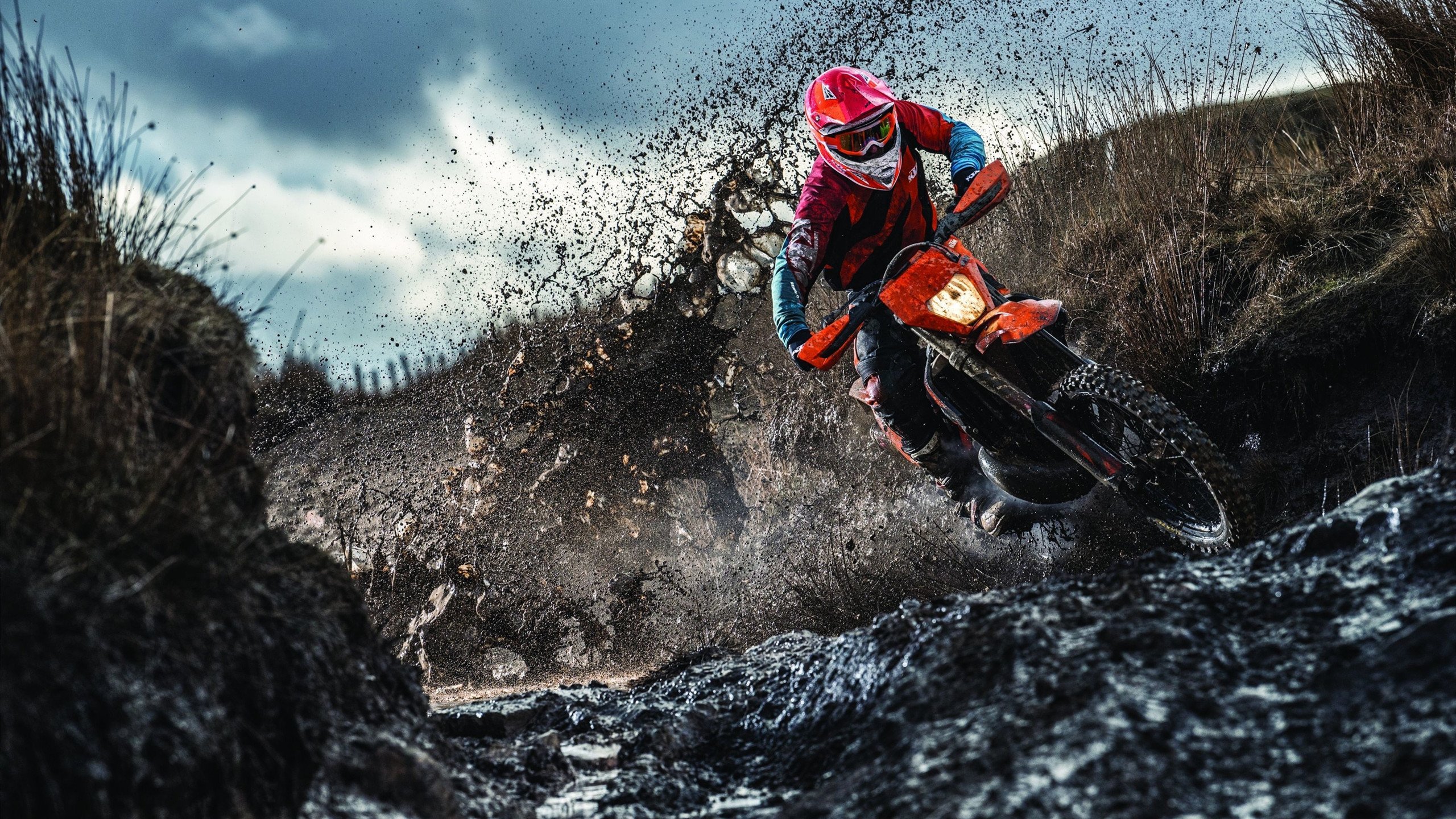 库里射落世界杯!男篮新王炸诞生?